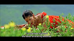 [DVD]Dulha Mil Gaya�μ̿�3