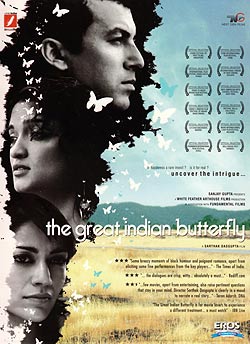 The great indian butterfly�μ̿�1