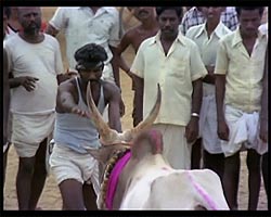 [���ߥ��ǲ�]MURATTU KAALAI[DVD]�μ̿�3