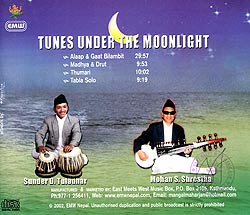 Tunes under the moonlight�μ̿�2