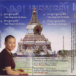 Ani Choying Drolma - Kyop Dro Taking Refuge�μ̿�2