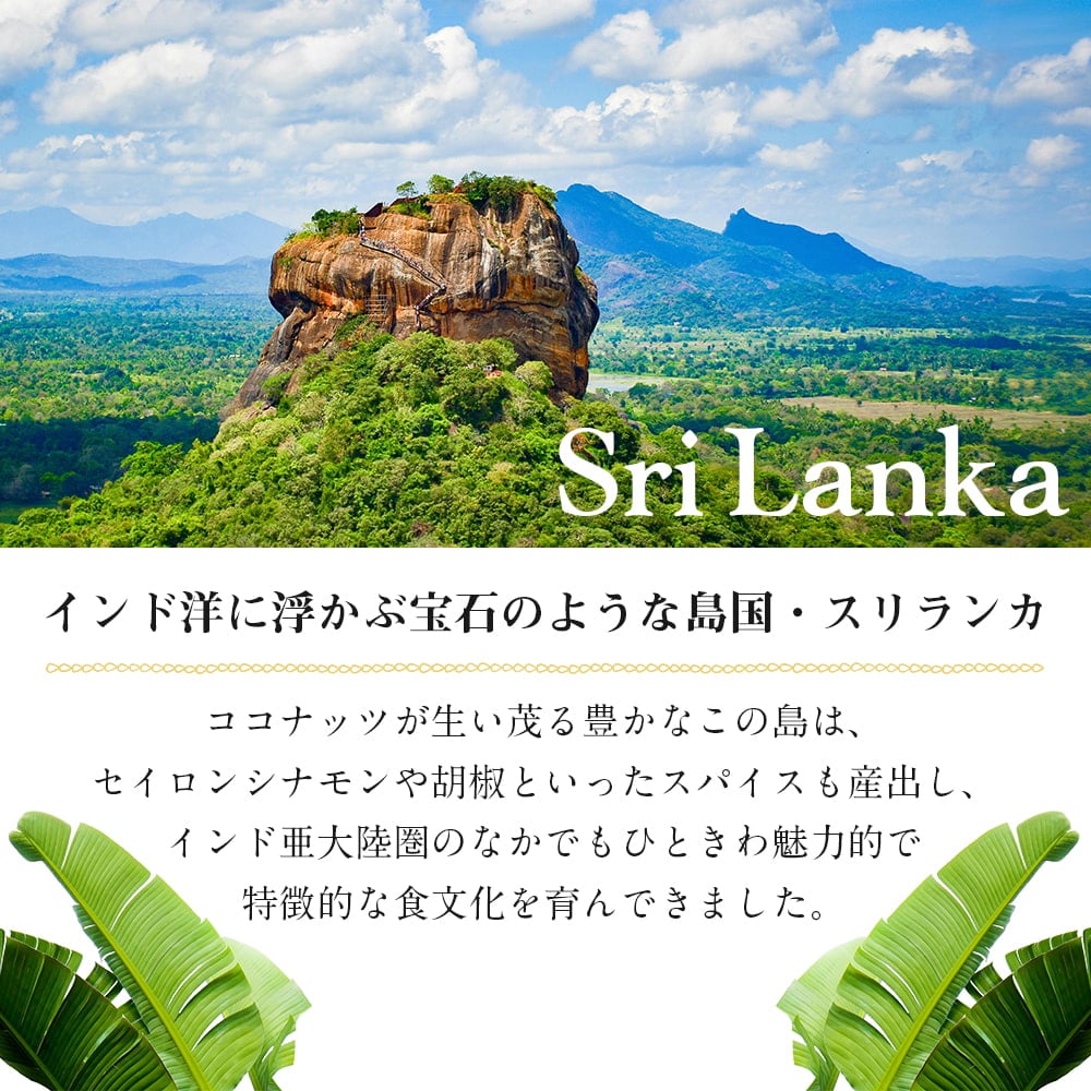 【10個セット】ミニボウル スリランカ伝統の素焼き食器 テラコッタ製 直径11.5cm程度1枚目の下部説明写真です
