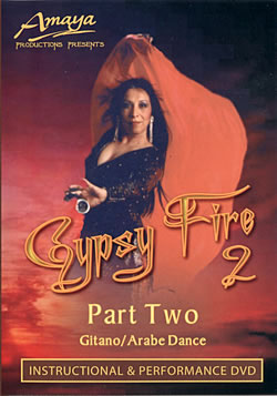 Gypsy Fire 2�μ̿�1