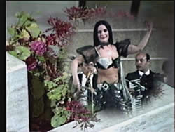 SOUHER ZAKI  [SWEET STAR CAIRO]�μ̿�2