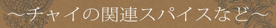 【6個セット】ティーマサラの素1枚目の下部説明写真です