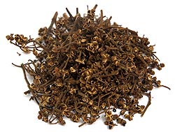 �ޥå����󡡥ѥå�[20g]�μ̿�1