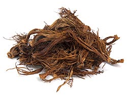 �ɥå����˥塼�������󡡥ڥ󡡥ѥå�[15g]�μ̿�1
