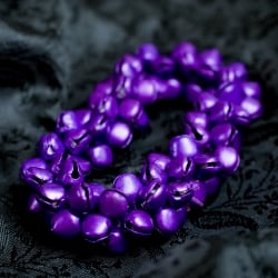 ����ե륰�󥰥�Х�� - �ѡ��ץ�μ̿�2