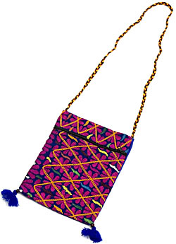 ������顼�Ȥβ������ݤ��Хå��μ̿�1