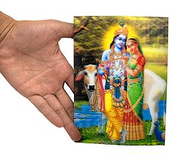 3D���ͥϥ�ǥ������ɡڥ�������ȡۤμ̿�2