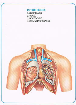 ����ɤ��Ѥʥ��饹�Ȥ��������� - BODY-CARE�μ̿�2