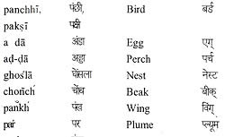 Learn HINDI Through English�μ̿�3