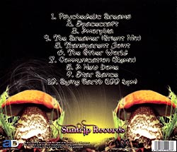 Radical Distortion - Psychedelic Dreams�μ̿�2