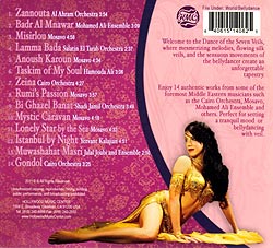 Dance of the 7 Veils�μ̿�2