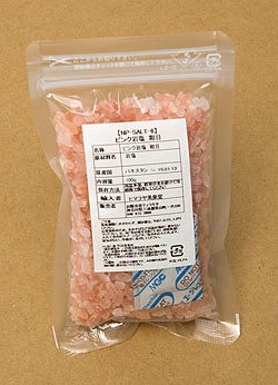 �ڿ��ѡۥԥ󥯴��������(100G)�μ̿�2