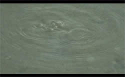 Naturally Gushing Vol.1 -Ĺ� �²������Ϲ�ë�������������� -�μ̿�3