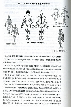 ���������������ȥޥ����ˡ�μ̿�3