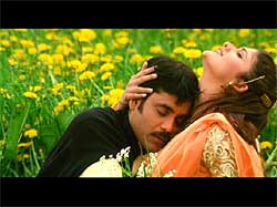 Sanam Tere Hain Hum