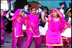 10th Annual Punjabi American Festival�μ̿�3