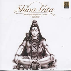 Shiva Gita - From Padmapurana Part3