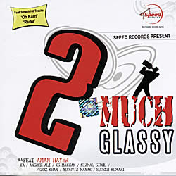2 MUCH GLASSY�μ̿�1