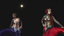 GOTHIC BELLYDANCE�μ̿�3