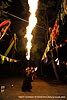 _DSC6179