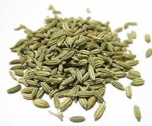 �ե���ͥ륷���� 100g ������