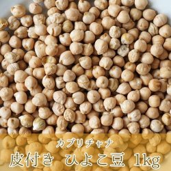 �Ҥ褳Ʀ�����դ��� Kabuli Chana Chickpea