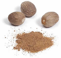 �ʥĥᥰ��Nutmeg ������