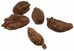 �֥饦�󥫥����� Brown Elaichi �ܥȥ�����