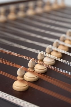 Santoor(�����ȥ�����)�μ̿�4