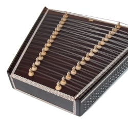 Santoor(�����ȥ�����)�μ̿�7