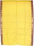 ID-CTN-31