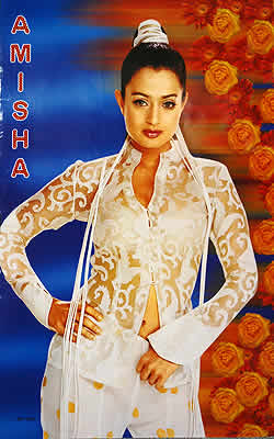 ������ۥ��ߡ����㡦�ѥƥ�(Amisha Patel)