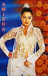 ������ۥ��ߡ����㡦�ѥƥ�(Amisha Patel)