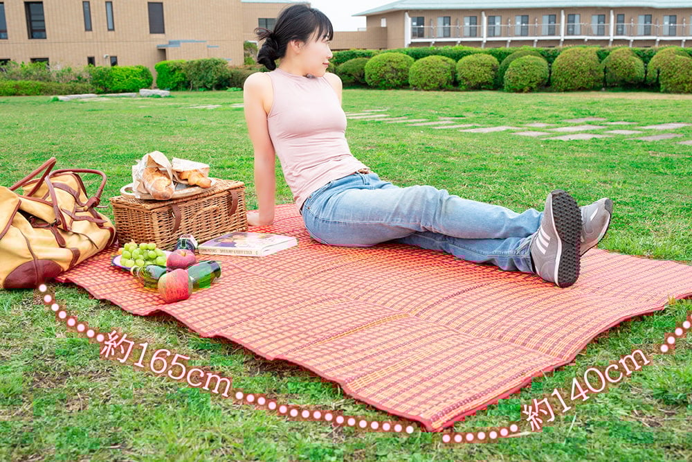 【アソート】タイからやってきた ストロー素材のどこでもバッグシート レジャーシート ござ4枚目の説明写真です