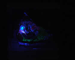 LED���͡�����μ̿�4
