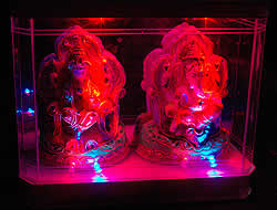 LED���͡�����ȥ饯����ߡ��μ̿�5