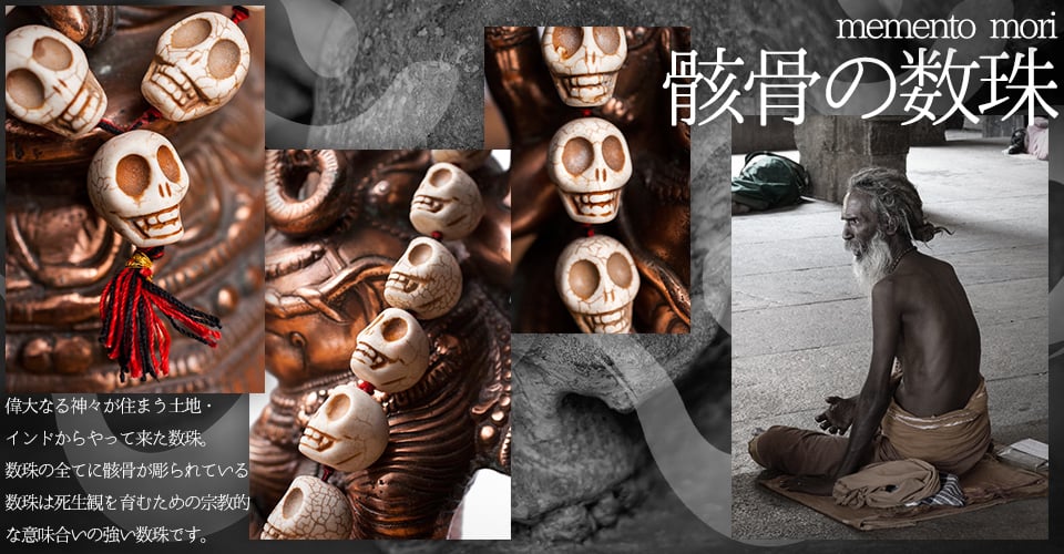 の上部写真説明