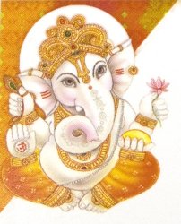 ����ɿ����������ȥ�å�����������(5�祻�å�)�ڲİ������͡����㥪��󥸡�