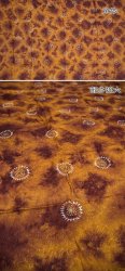 ����������(ID-VSSS-29)