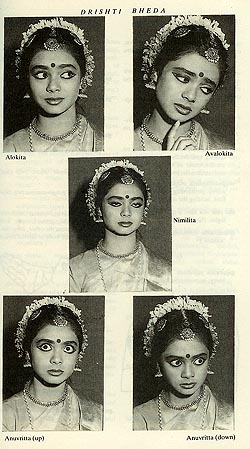 A Dictionary of Bharata Natya