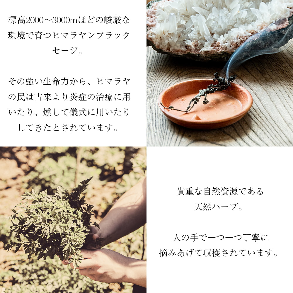 【2個セット】ヒマラヤン ブラック セージ 神聖なるヒマラヤ山脈に自生する天然のハーブ スマッジング 浄化2枚目の説明写真です