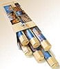 Fascinating India[6Ȣ���å�]