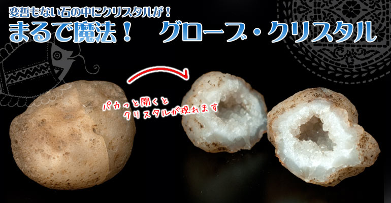 の上部写真説明