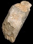 �ҥޥ���̵�������ꥹ����[7.5 x 3cm]