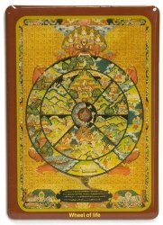 ���ͥޥ��ͥå� - Wheel of life