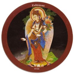 ���ͥޥ��ͥå� - Padmapani