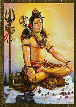 �����-������